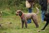 2009-10-03_ntb_9382