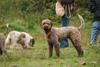 2009-10-03_ntb_9383