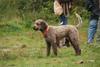 2009-10-03_ntb_9384