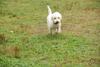2009-10-03_ntb_9385
