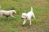 2009-10-03_ntb_9387