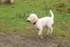 2009-10-03_ntb_9388