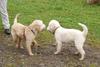 2009-10-03_ntb_9389