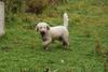 2009-10-03_ntb_9390