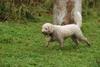 2009-10-03_ntb_9391