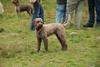 2009-10-03_ntb_9392