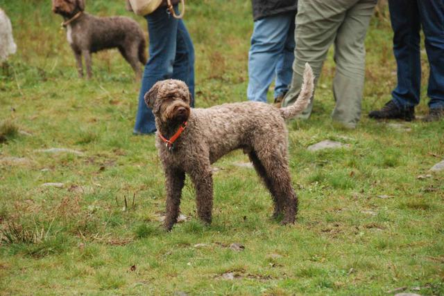 2009-10-03_ntb_9392
