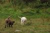 2009-10-03_ntb_9393