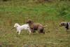 2009-10-03_ntb_9395