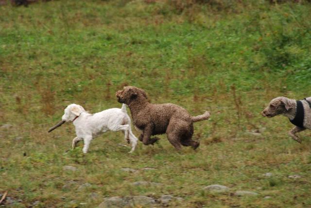 2009-10-03_ntb_9395