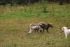 2009-10-03_ntb_9397