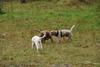 2009-10-03_ntb_9398