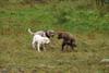 2009-10-03_ntb_9399