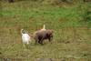 2009-10-03_ntb_9401