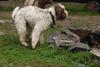 2009-10-03_ntb_9402