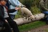 2009-10-03_ntb_9403