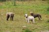 2009-10-03_ntb_9408