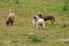 2009-10-03_ntb_9409