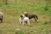 2009-10-03_ntb_9410