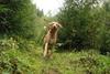 2009-10-03_ntb_9411