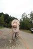 2009-10-03_ntb_9416