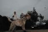 2009-10-03_ntb_9417