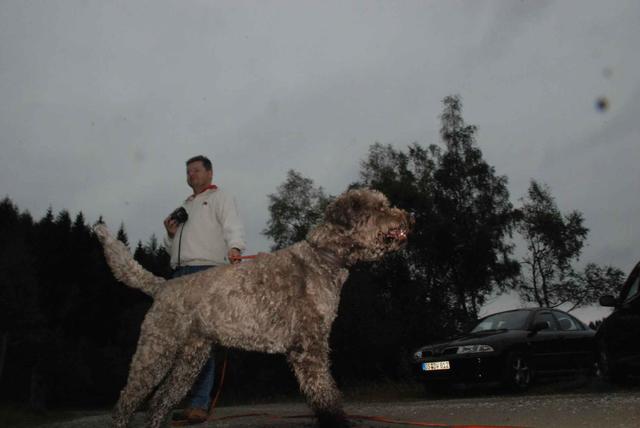 2009-10-03_ntb_9417