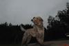 2009-10-03_ntb_9418