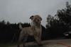 2009-10-03_ntb_9419