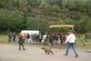 2009-10-03_ntb_9423