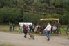 2009-10-03_ntb_9424