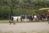 2009-10-03_ntb_9425