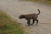 2009-10-03_ntb_9426