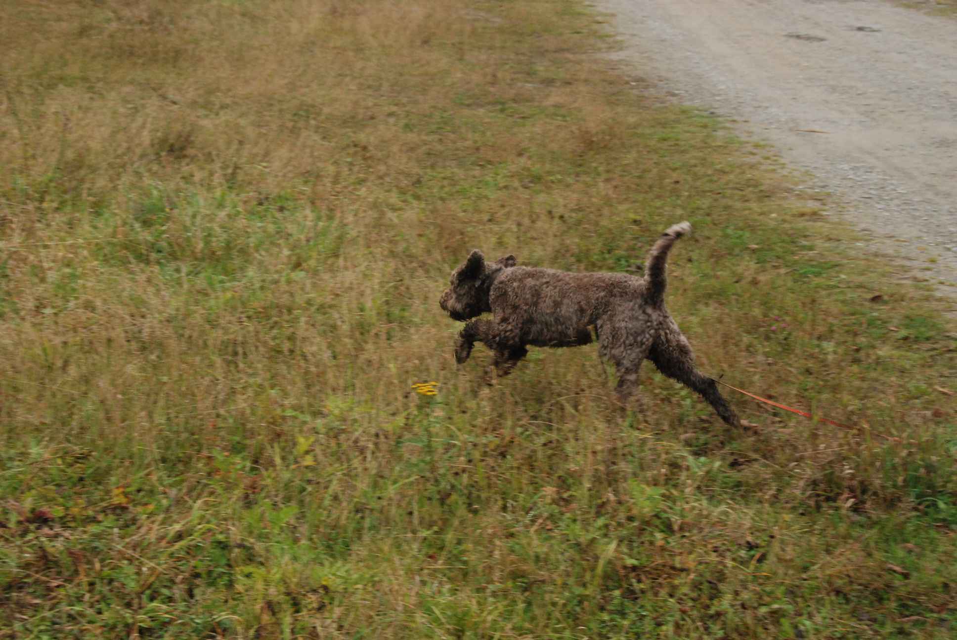 2009-10-03_ntb_9427