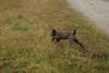 2009-10-03_ntb_9427
