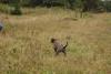 2009-10-03_ntb_9428