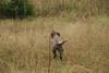 2009-10-03_ntb_9430