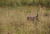 2009-10-03_ntb_9431