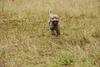 2009-10-03_ntb_9434
