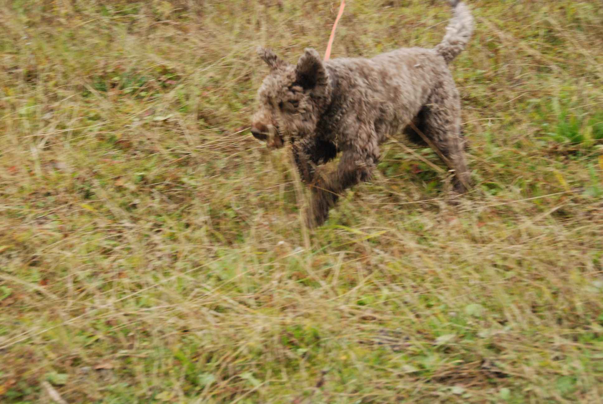 2009-10-03_ntb_9435
