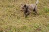 2009-10-03_ntb_9435