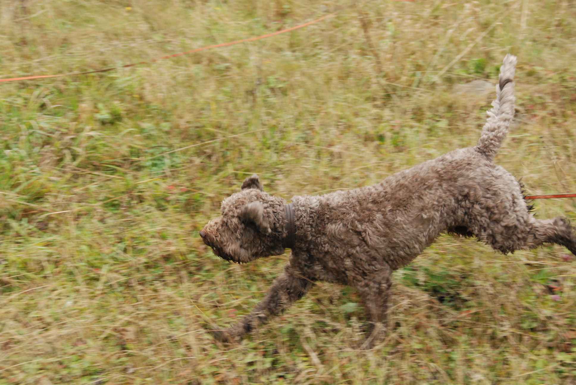2009-10-03_ntb_9436