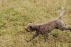 2009-10-03_ntb_9436