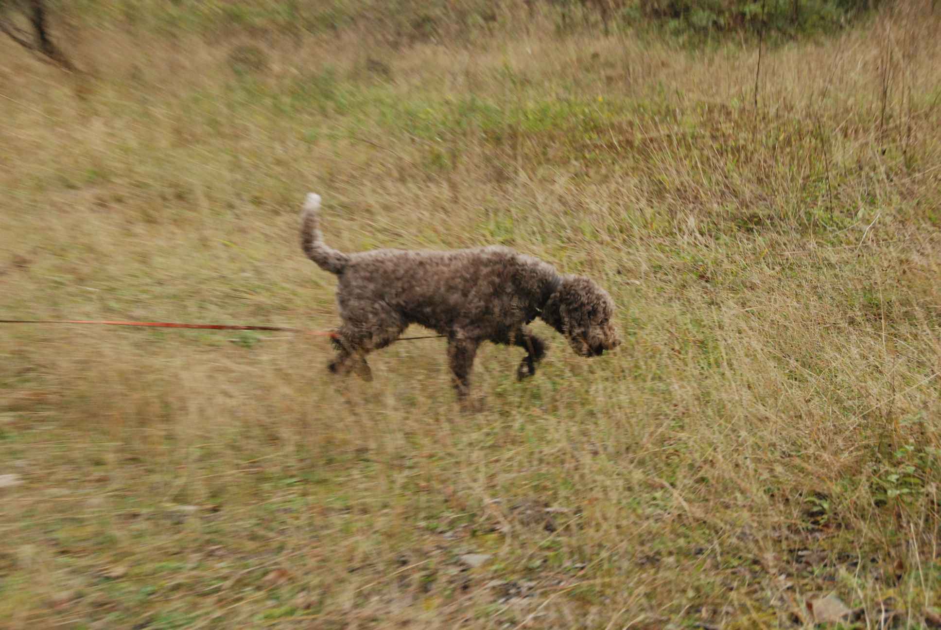 2009-10-03_ntb_9437