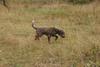 2009-10-03_ntb_9437