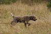 2009-10-03_ntb_9438