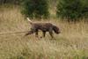 2009-10-03_ntb_9439