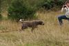 2009-10-03_ntb_9440