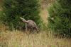 2009-10-03_ntb_9442