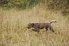 2009-10-03_ntb_9444